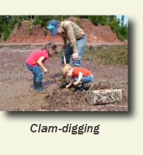 Digging clams